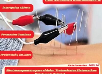 Curso Fisioterapia Oriental Electroacupuntura para el dolor y tratamientos sintomáticos